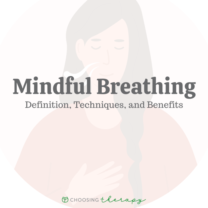 Meditation mindfulness visual infographic embed Meditation mindfulness visual infographic embed