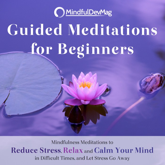 Guided benefits meditations